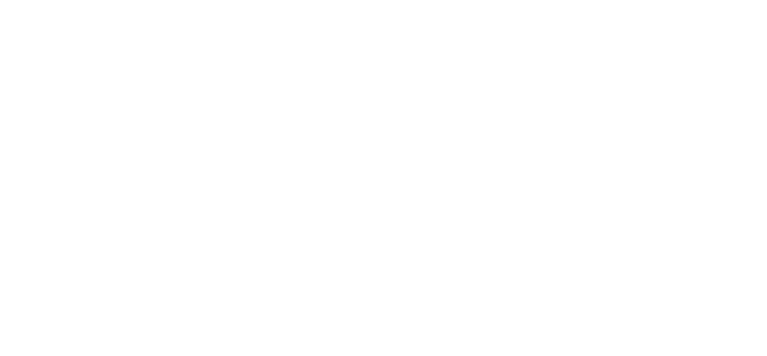 Blue Gnome Texte white logo